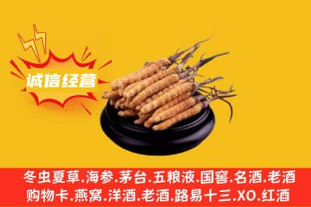 回收冬虫夏草